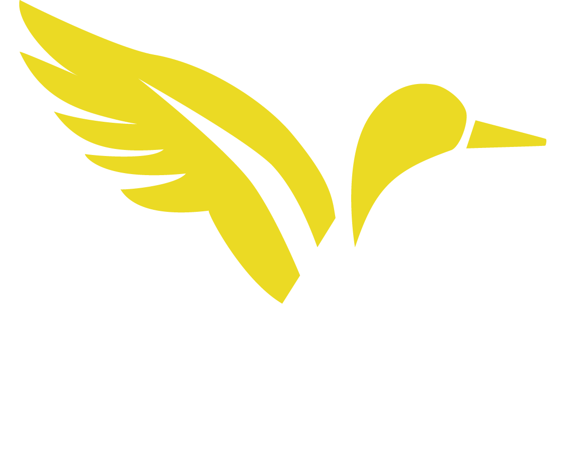 Yellow Duck Marketing